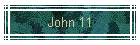 John 11